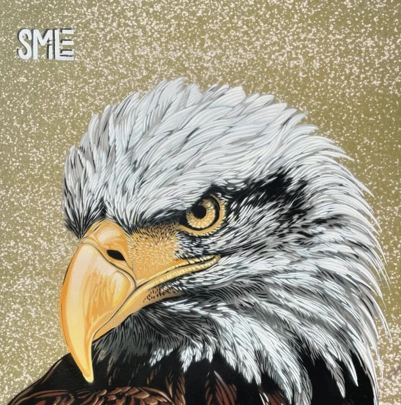 Bald Eagle street art by SMiLE at North Boulder Park (9th and Cedar)