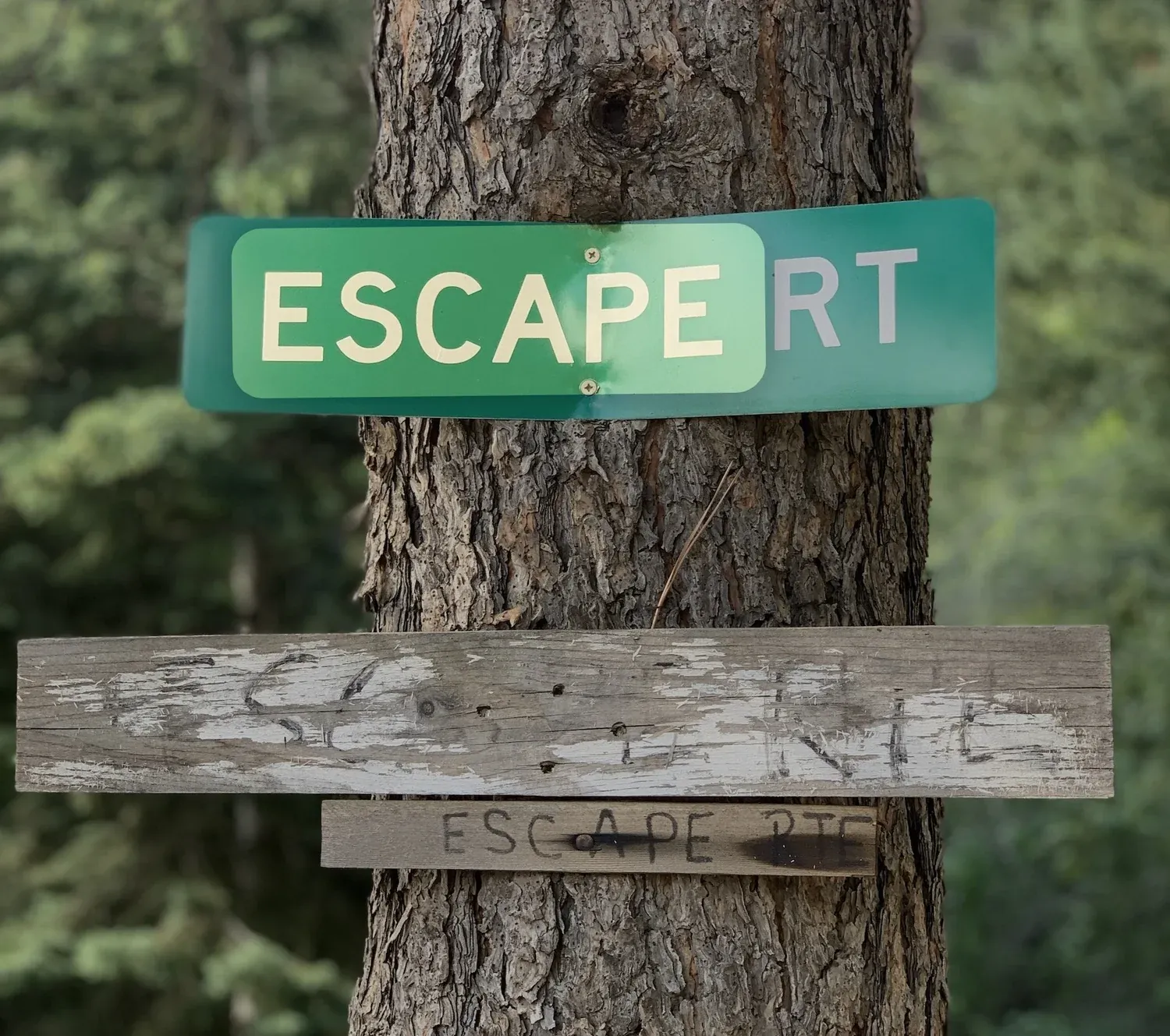 Escape Route sign on Logan Mill