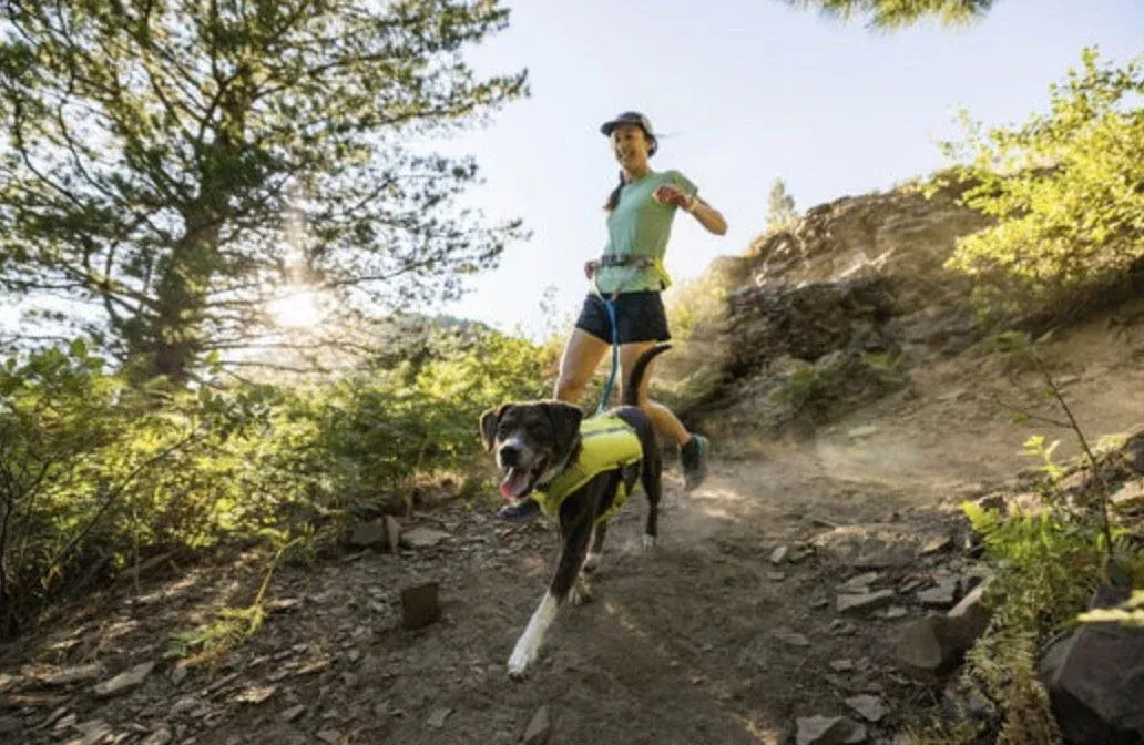 Dog and owner running the trail together